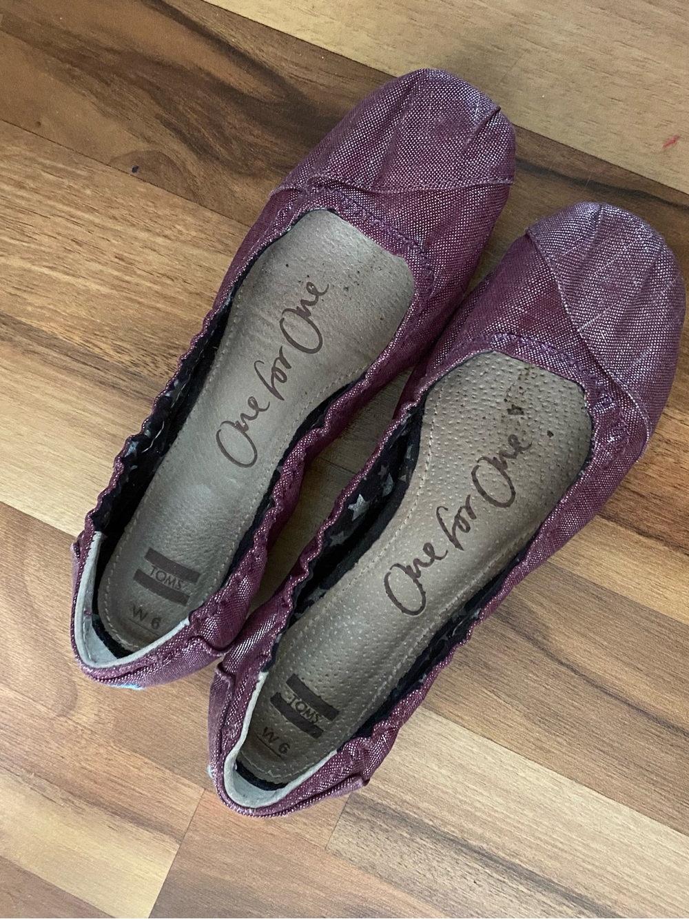 TOMS Women's Metallic Plum Canvas Ballet Flats